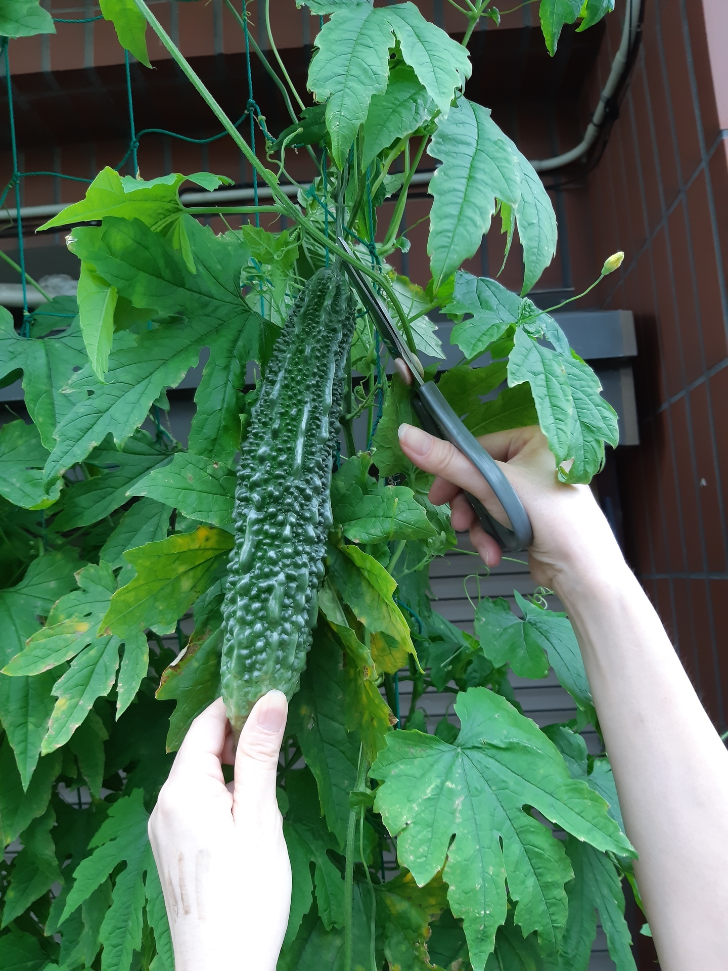 20190712_175616.jpg