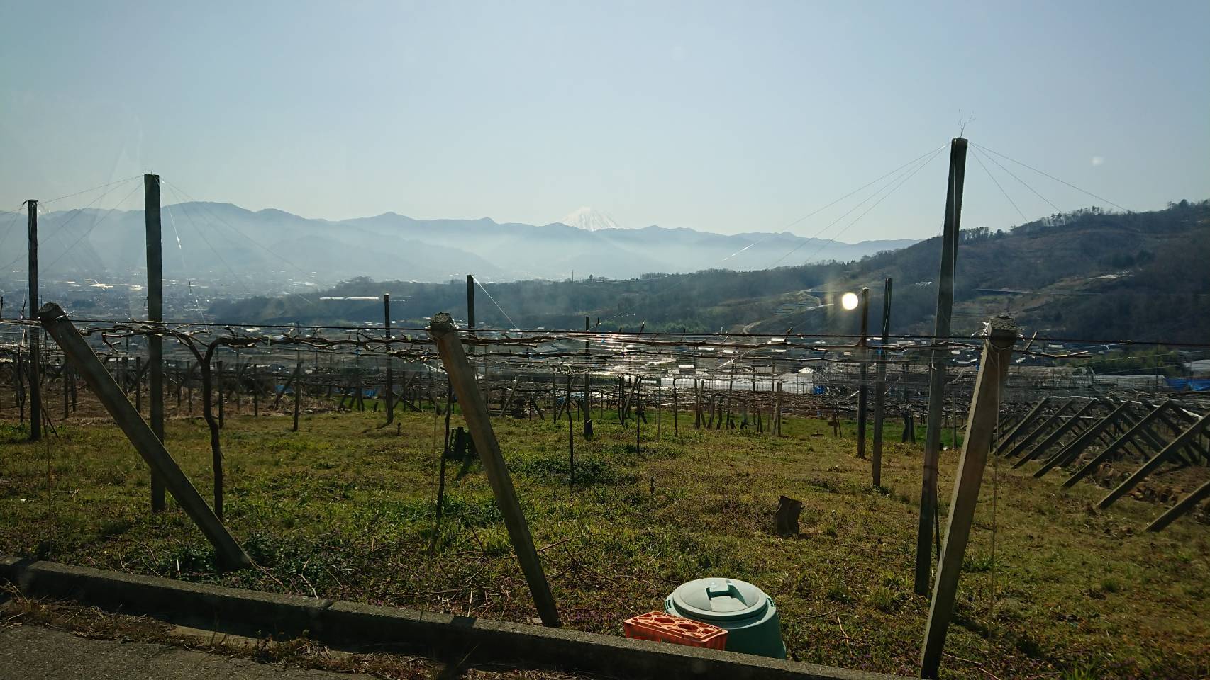 42670.jpg